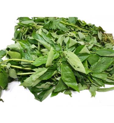 Fresh Ewedu Molokhia Leaves Box (Please read NOTICE in the DESCRIPTION Box below before purchasing this product)