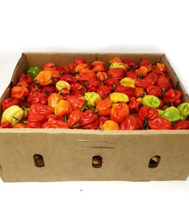 Atarodo Scotch Bonnet (Hot Pepper)