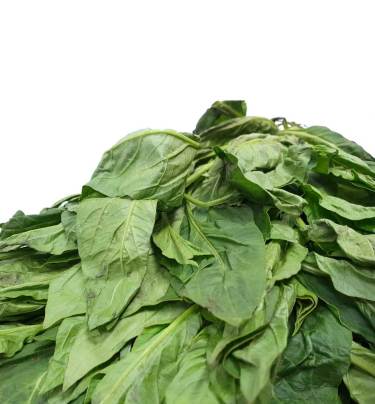 Fresh Soko Leaves  (Please read NOTICE in the DESCRIPTION Box below before purchasing this product)