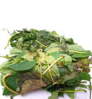 Fresh Utazi Bunch (Please read NOTICE in the DESCRIPTION Box below before purchasing this product)