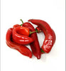 Loop Foods