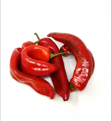 Pointy Red Cap Pepper