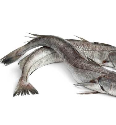 Hake Fish (Cleaned)