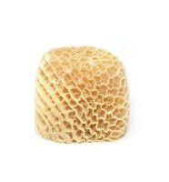 Honeycomb Tripe (SAKI)