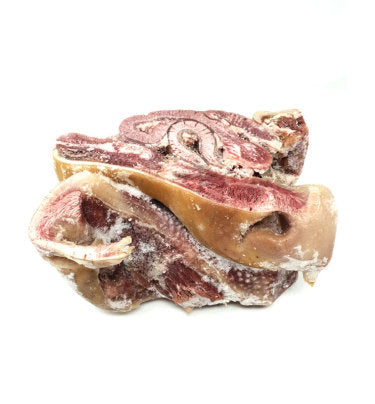 Cow Snout