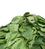 Fresh Soko Leaves  (Please read NOTICE in the DESCRIPTION Box below before purchasing this product)