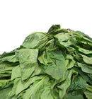 Fresh Soko Leaves  (Please read NOTICE in the DESCRIPTION Box below before purchasing this product)