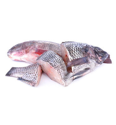 Tilapia Steak