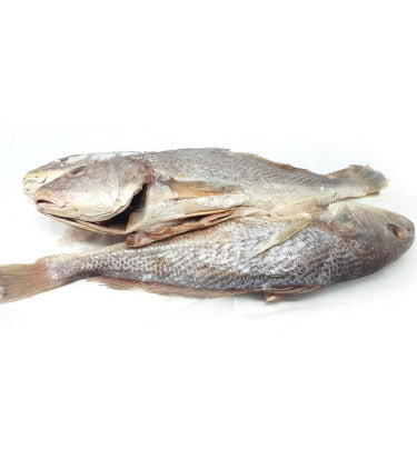 Yellow Croaker Fish